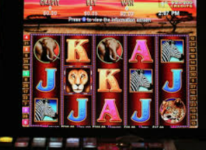 kuauyun手机最新版